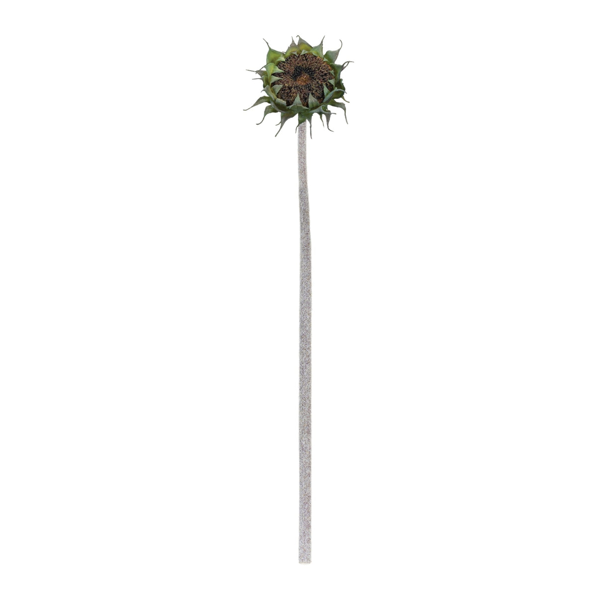 Brown Sunflower Stem (Set of 6)