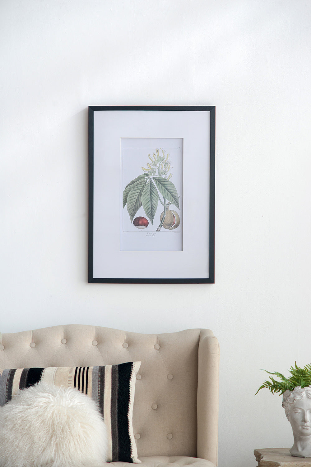 Botanical Wall Art Set of 2 with Black Frames - Multicolor