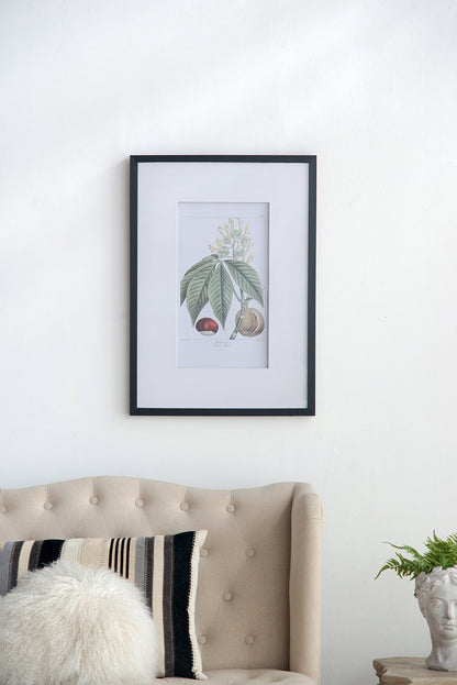 Botanical Wall Art Set of 2 with Black Frames - Multicolor