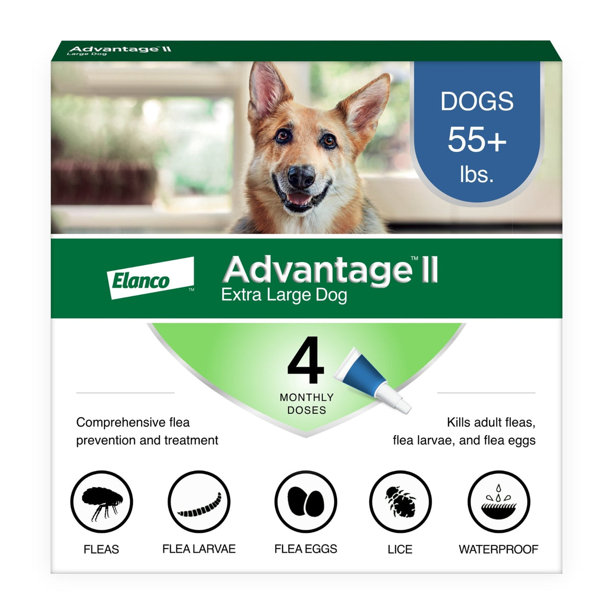 Flea Prevention for XL Dogs 55 Lbs+, 4-Monthly Treatments
