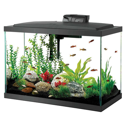 20 Gallon aquarium Starter Kit with LED Lighting
