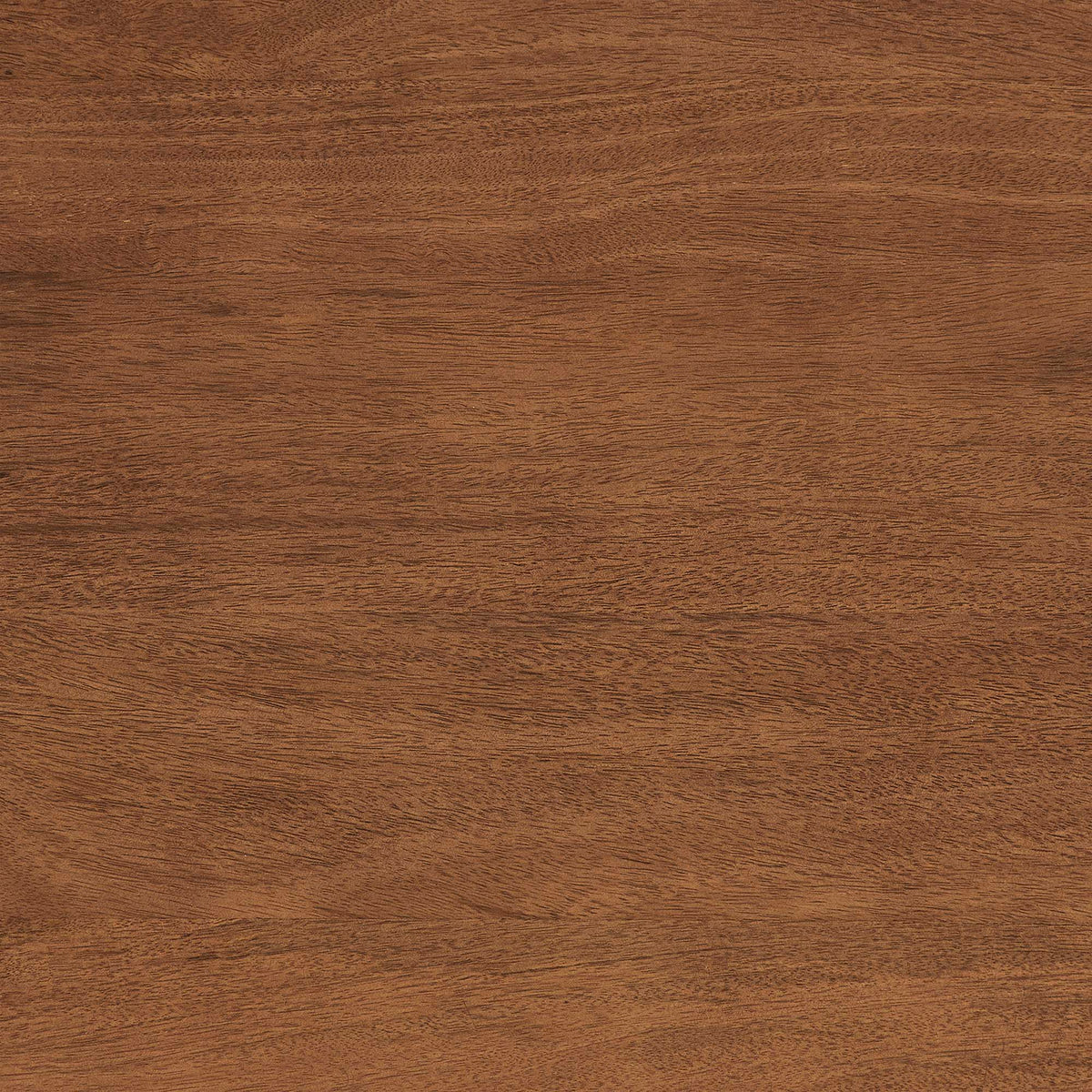 Amistad 72" Dining Table by Modway