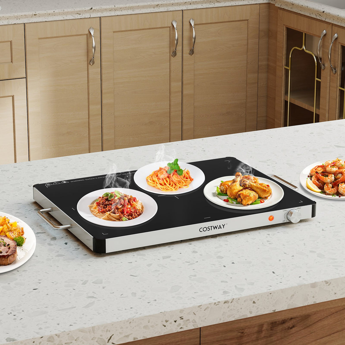 Electric Warming Food Warmer with Adjustable Temperature Control and Overheat Protection