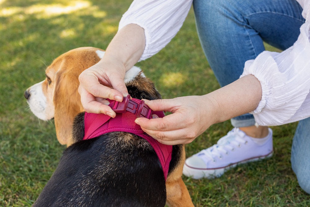 Curli Air Mesh Clasp Moss Vest Harness