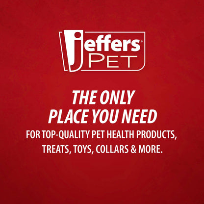 Jeffers Leaf Shaped Natural Rubber Dog Chew Toy with Dental Benefits and Vanilla Scent for Medium Chewers