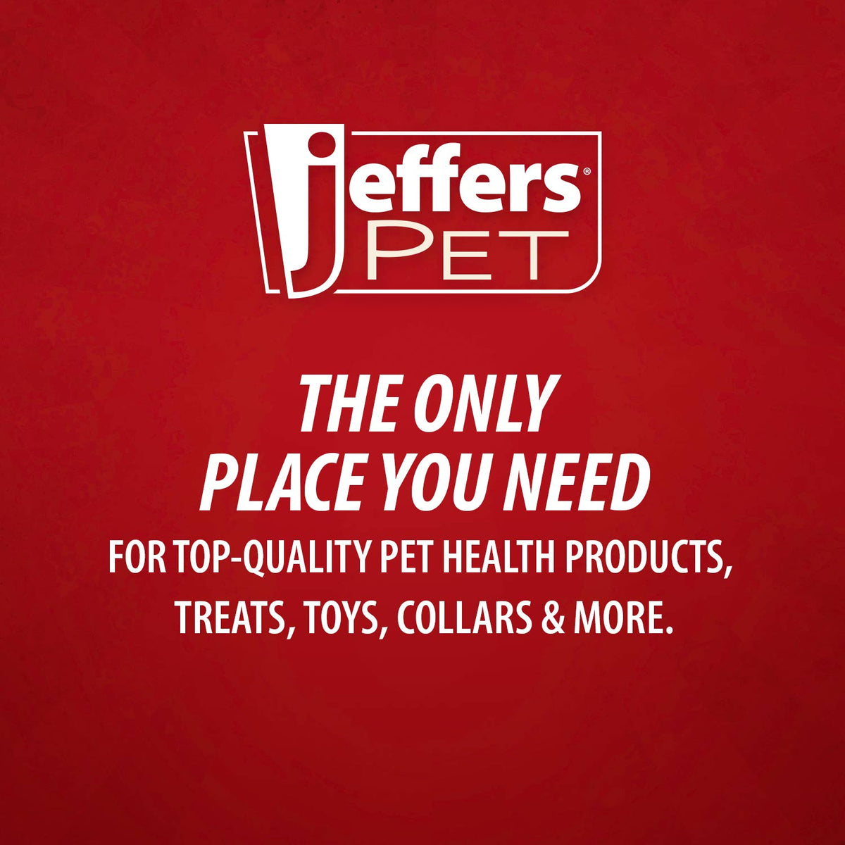 Jeffers Pet Vanilla Walnut Exfoliating Dog & Cat Conditioning Shampoo
