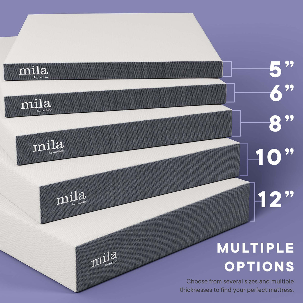 Mila 8" Twin Mattress by Modway