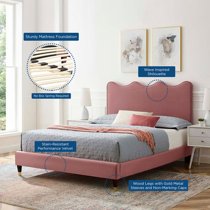 Current Performance Velvet Queen Platform Bed by Modway - Dusty Rose / White
