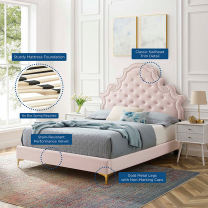 Gwyneth Tufted Performance Velvet Queen Platform Bed by Modway - MOD-6751