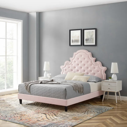 Gwyneth Tufted Performance Velvet Queen Platform Bed by Modway - MOD-6753