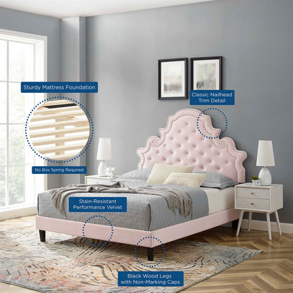 Gwyneth Tufted Performance Velvet Queen Platform Bed by Modway - MOD-6753