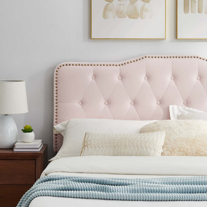 Amber Performance Velvet Queen Platform Bed by Modway - MOD-6775