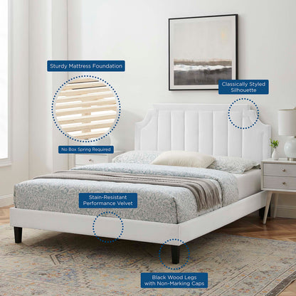 Sienna Performance Velvet King Platform Bed by Modway - MOD-6920