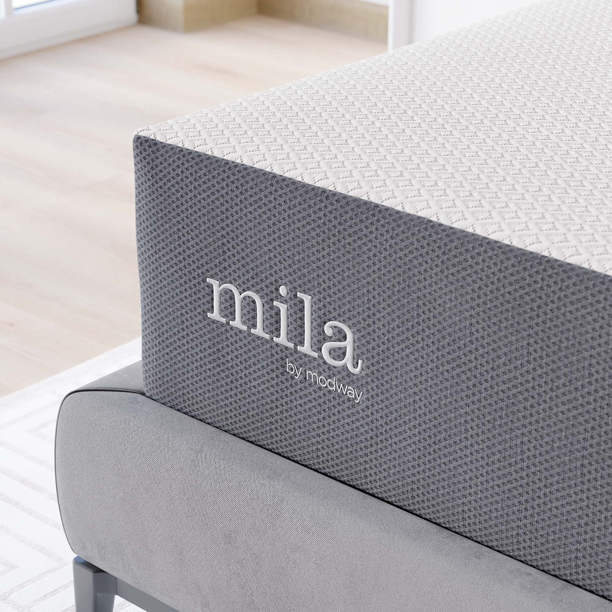 Mila 12" Queen Mattress by Modway