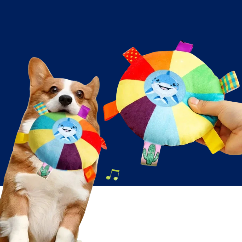 Rainbow Plush Flying Saucer Dog Toy – Interactive Chew & Training Disc