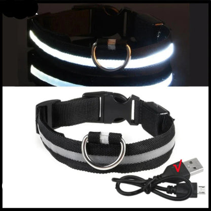 LED Pet Dog Collar for Night Safety | Bright USB Rechargeable