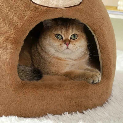 Kawaii Bear Cat Cave House – Soft Velvet & Plush Winter Warm Indoor Kitten Nest (S & M)