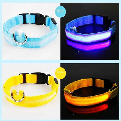 LED Pet Dog Collar for Night Safety | Bright USB Rechargeable