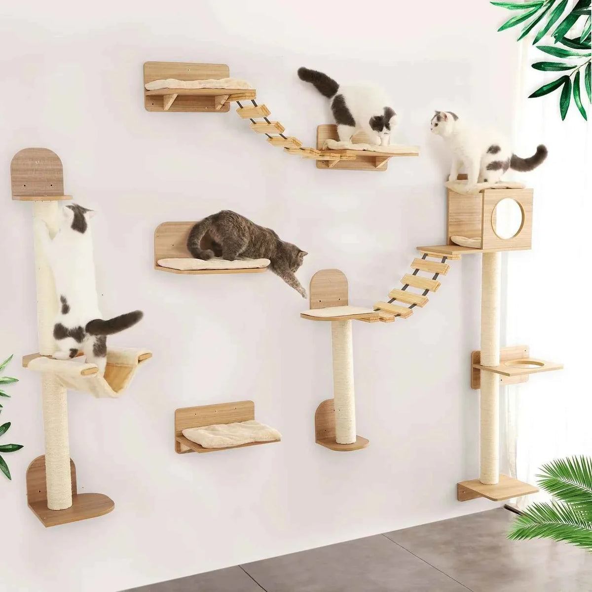 Wall-Mounted Cat Climbing Rope – Solid Wood Pedals & Sisal Scratch Training Toy for Indoor Cats