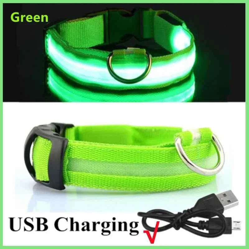 LED Pet Dog Collar for Night Safety | Bright USB Rechargeable