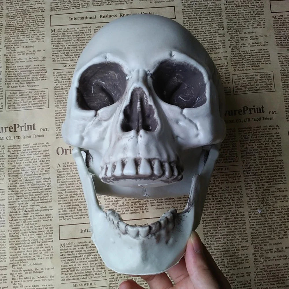 Halloween Skull Decoration,Realistic Plastic Skull,Head Skeleton,Halloween Party Home Yard Decoration,Haunted House Horror Props