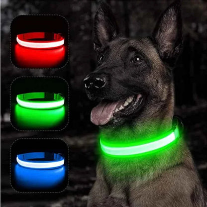 LED Pet Dog Collar for Night Safety | Bright USB Rechargeable