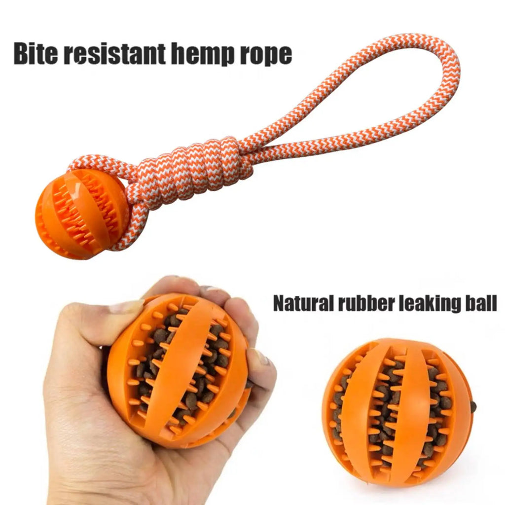 Interactive Dog Toy Balls – Treat Dispensing Rope & Rubber Chew Balls for Dogs