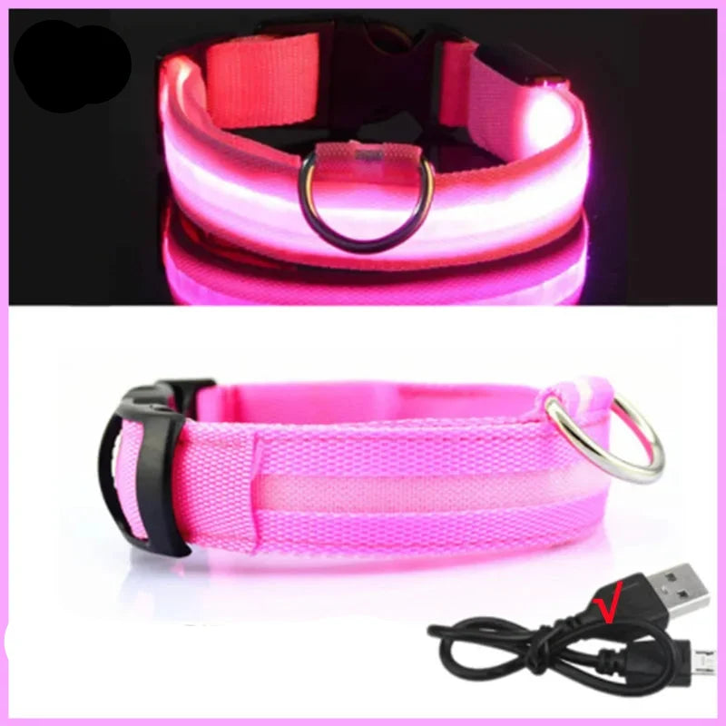 LED Pet Dog Collar for Night Safety | Bright USB Rechargeable