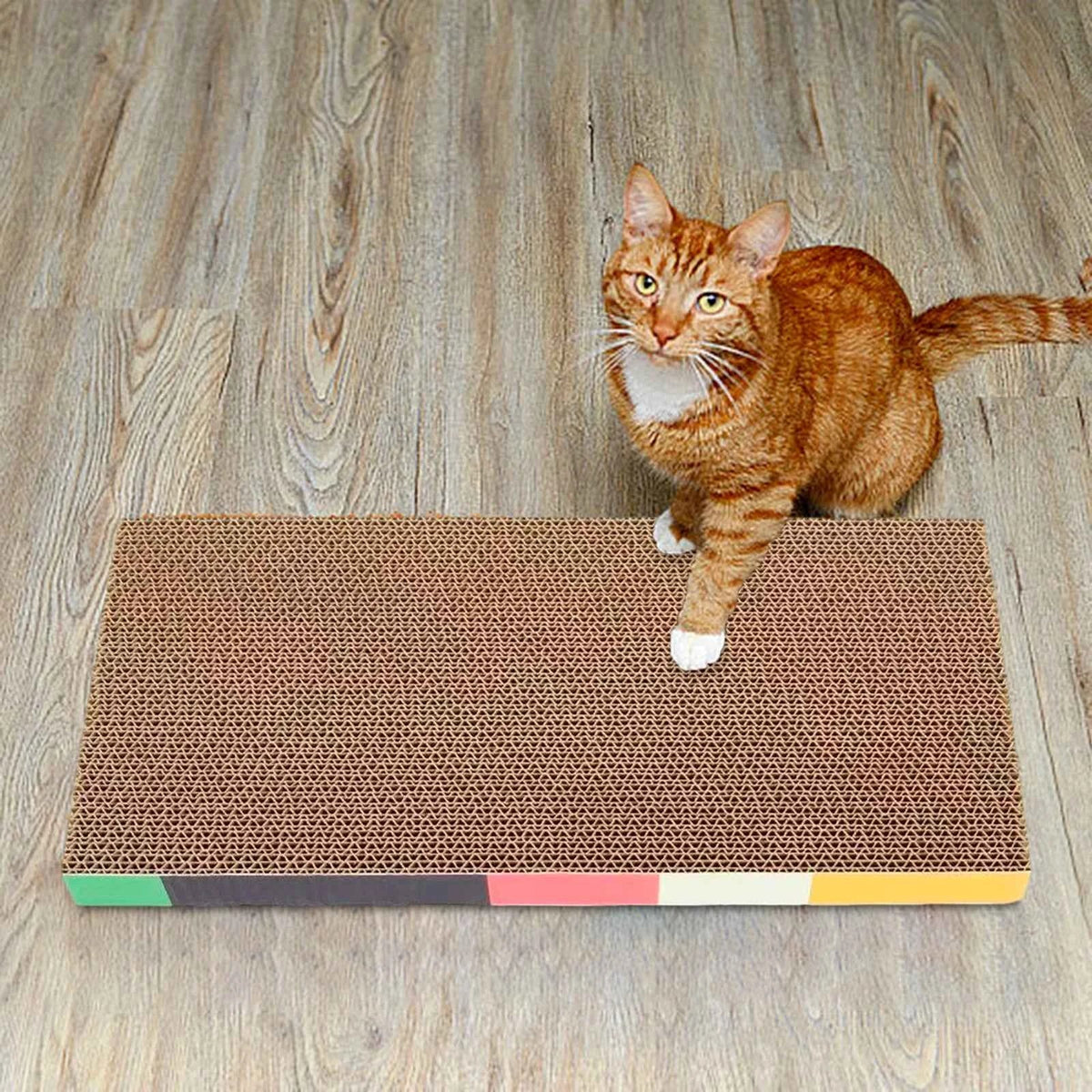 Cat Scratching Board Bed – Cardboard Scratch Pad