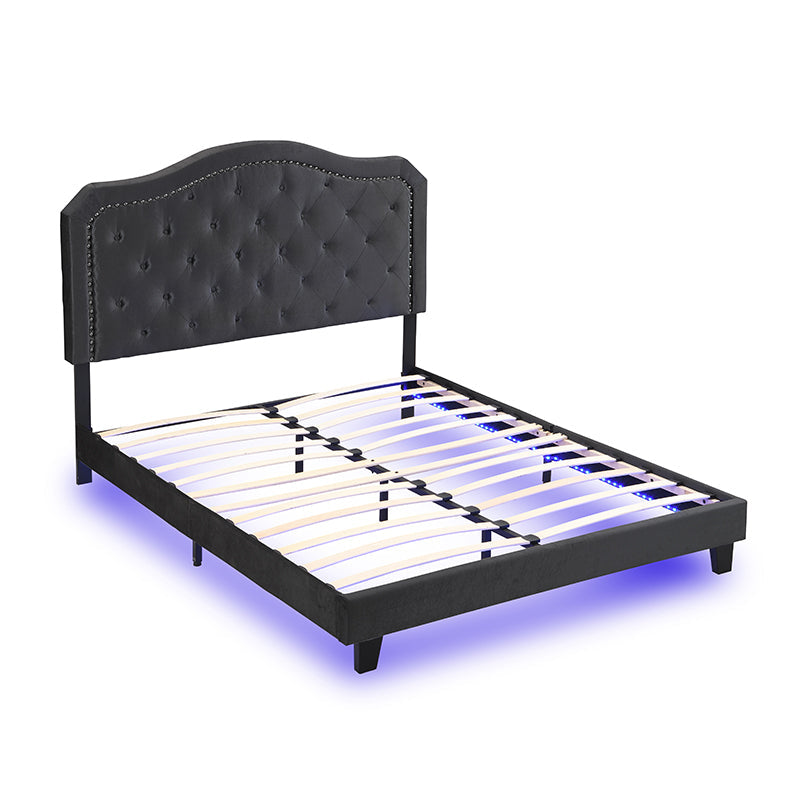 Queen Upholstered Bed Button Tufted with Curve Design