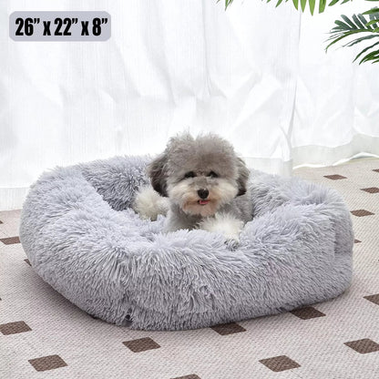 Cat Bed for Indoor Cats and small dogs