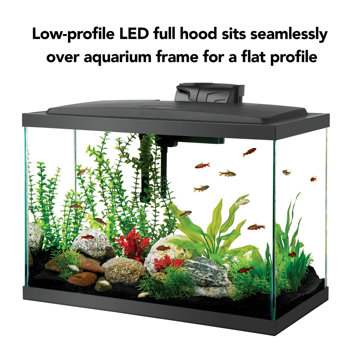 20 Gallon aquarium Starter Kit with LED Lighting
