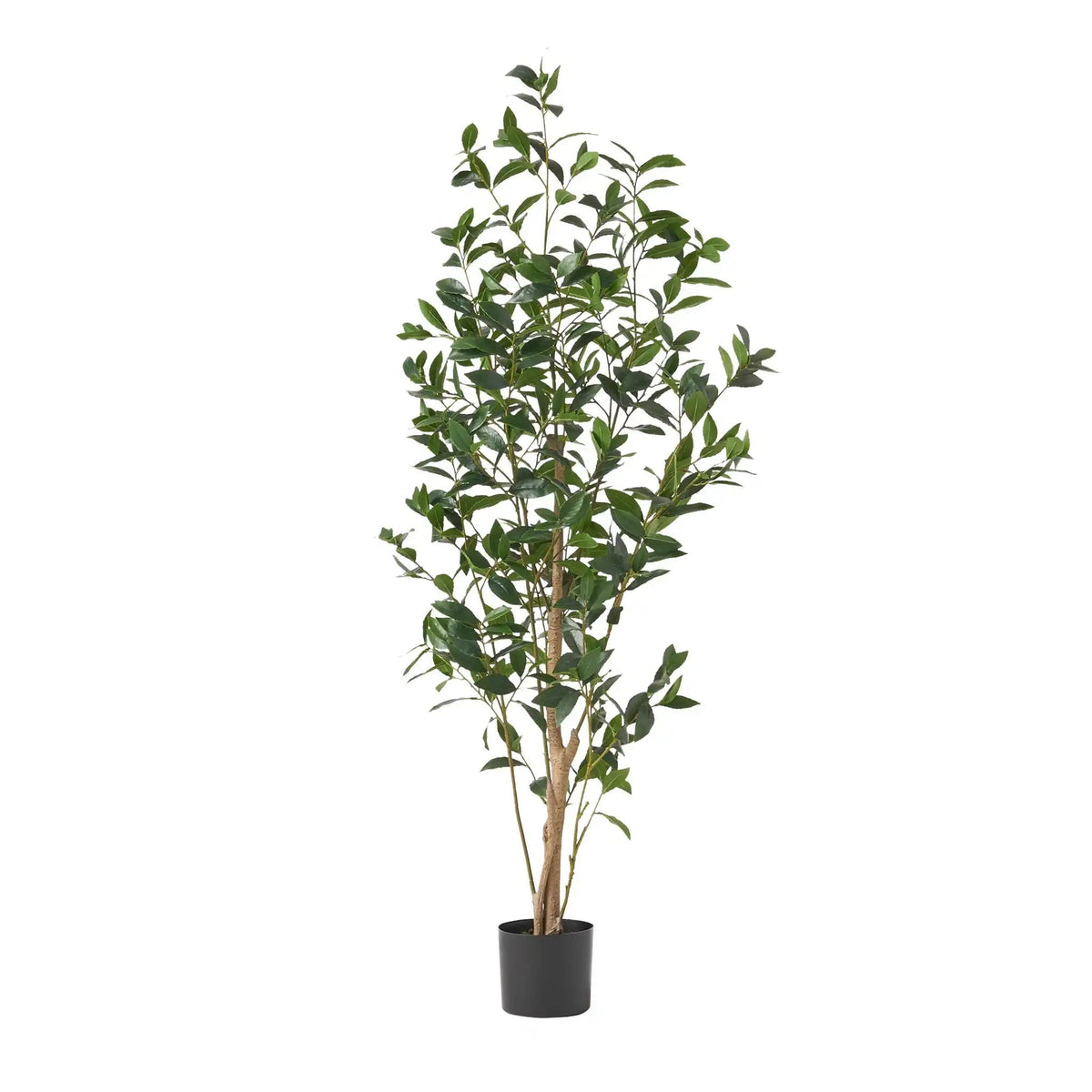 Artificial Laurel Tree with Flexible Iron Frame - Green