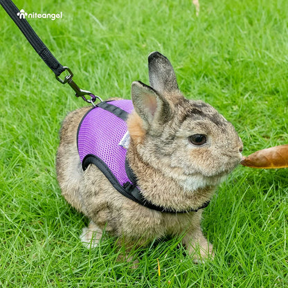 Adjustable Soft Harness with Elastic Leash for Rabbits (M, Pink)