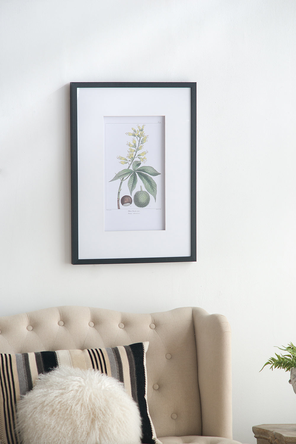 Botanical Wall Art Set of 2 with Black Frames - Multicolor