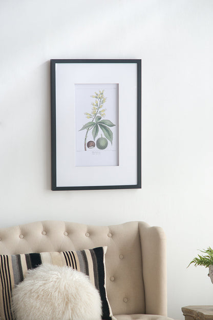 Botanical Wall Art Set of 2 with Black Frames - Multicolor