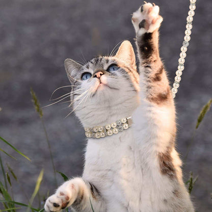 2 Pcs Pearl Collar and Leash for Dogs
