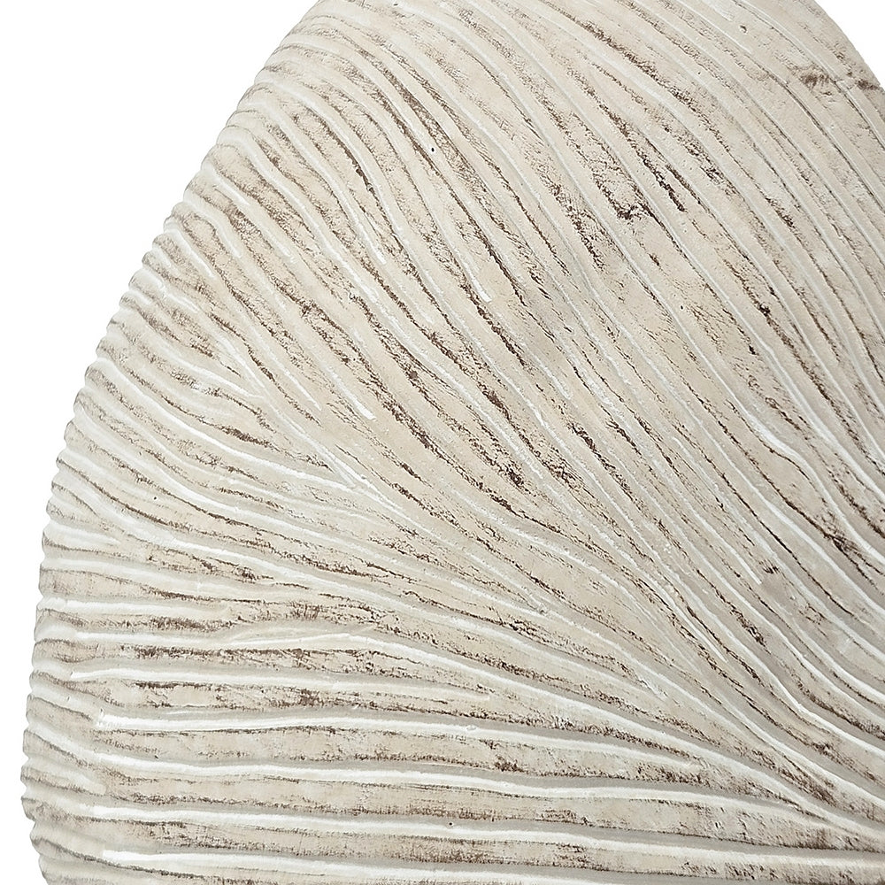 Sand and Cement Nautilus Shell Planter with Textured Finish - Beige Multi
