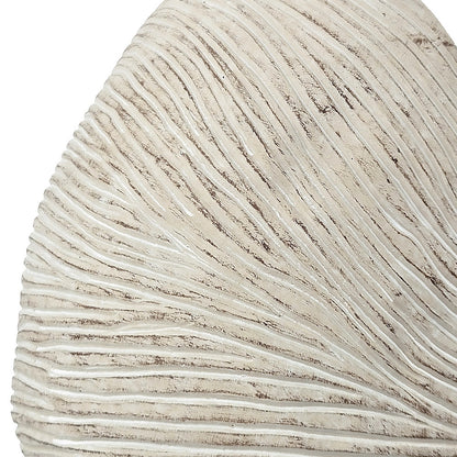 Sand and Cement Nautilus Shell Planter with Textured Finish - Beige Multi