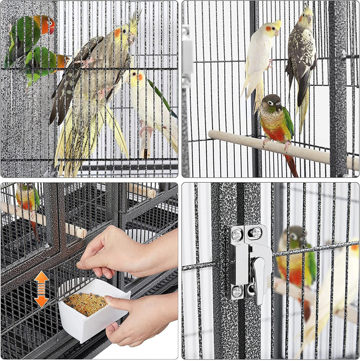 Divided Breeder for Bird