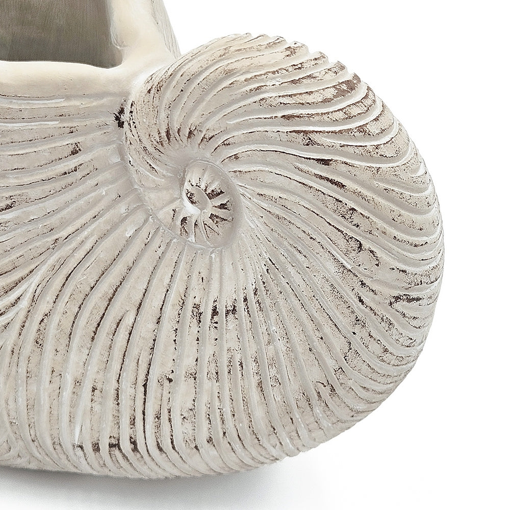 Sand and Cement Nautilus Shell Planter with Textured Finish - Beige Multi