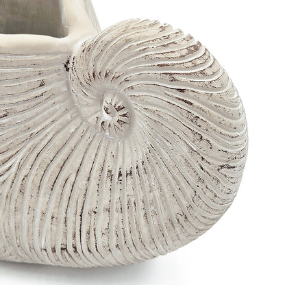 Sand and Cement Nautilus Shell Planter with Textured Finish - Beige Multi