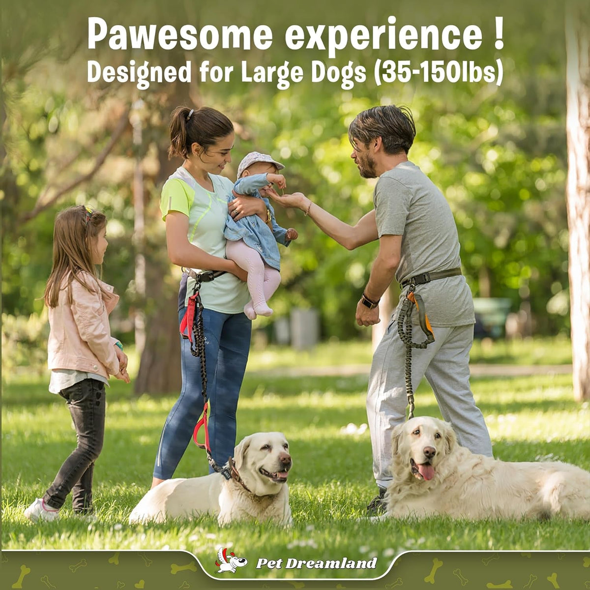 Exquisite Hands-Free Dog Leash for Large Dogs