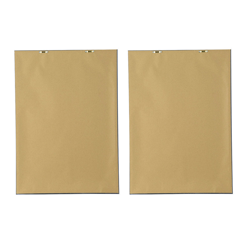 Botanical Wall Art Set of 2 with Black Frames - Multicolor