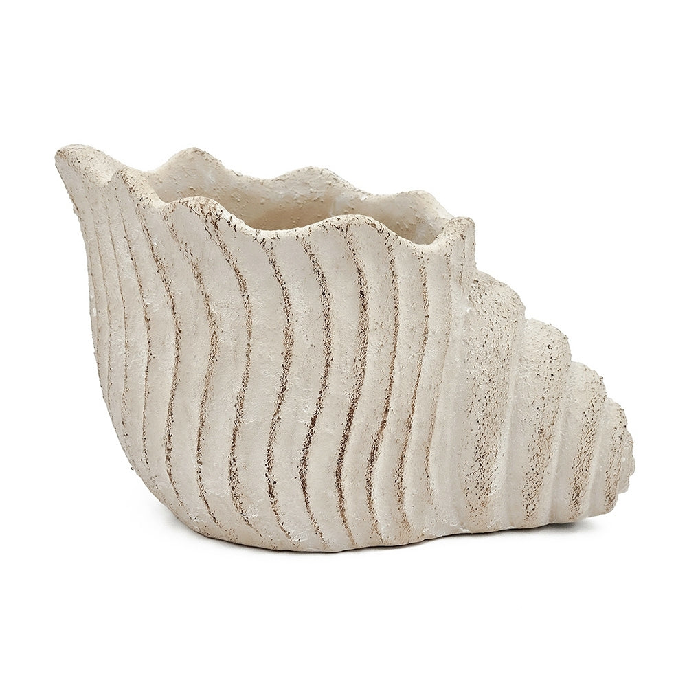 Sand and Cement Nautilus Shell Planter with Textured Finish - Beige Multi