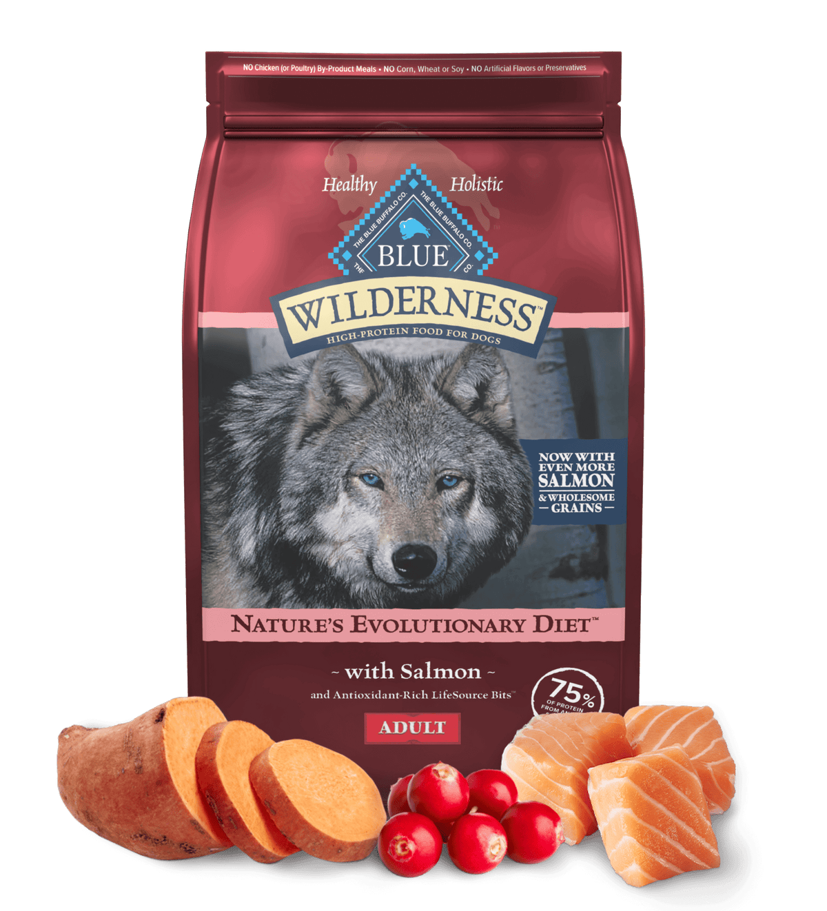 Blue Buffalo Wilderness Adult Salmon with Wholesome Grains Dry Dog Food