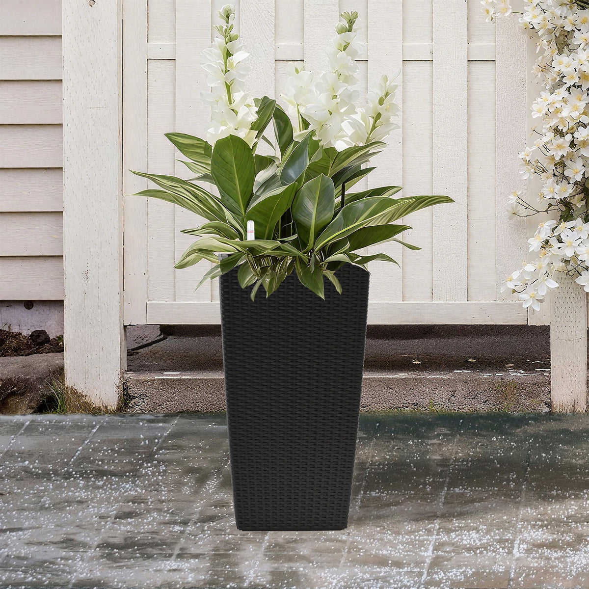 Square Planters with Automatic Watering System - Faux Rattan, Pack of 2