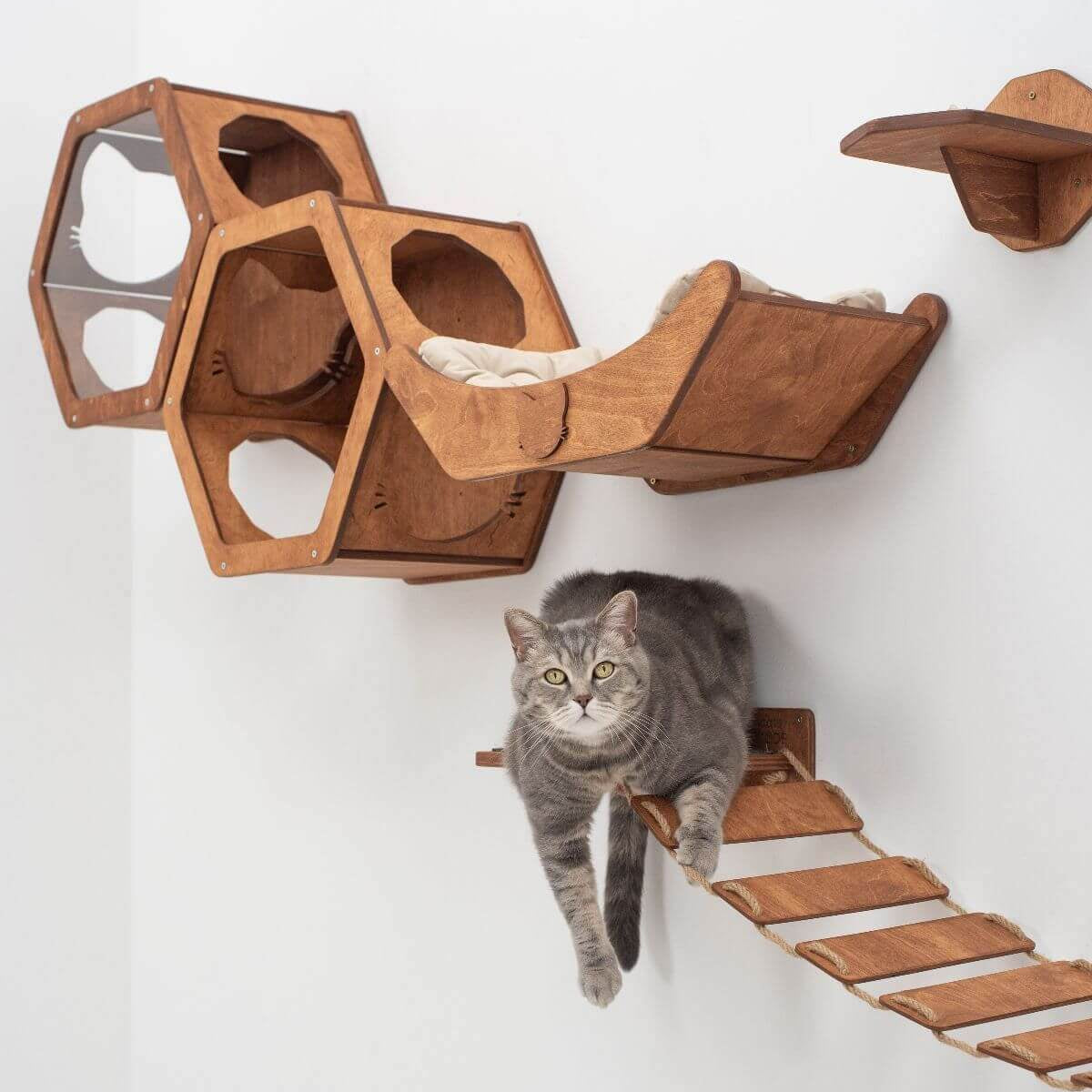 Floating Cat Shelf Perch Oak