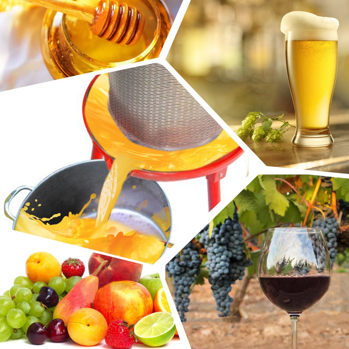 Hydraulic Fruit Wine Press With Apple Crusher - Green