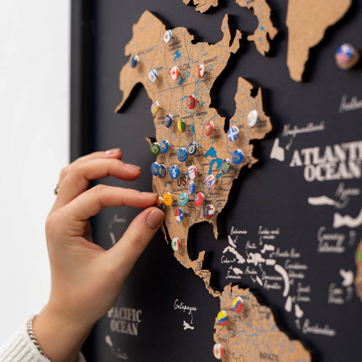 Cork Panel World Map